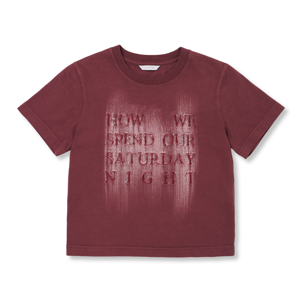 우먼즈 크롭 브러쉬 페이딩 하프 슬리브 티셔츠 (와인)